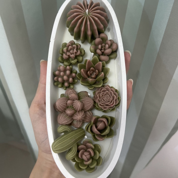 Desert cactus 